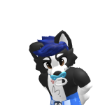 williamthebabycollie