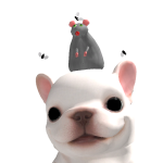 @xevenie