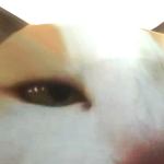 @superzak00
