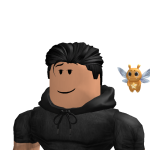 @roblox_user_2353072670