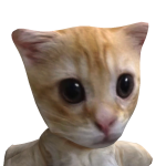 @dixie_Damelio1223344
