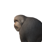 @Cookiegamer2828