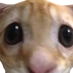 @unconsiouse