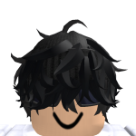 @noobdestroyer1234665