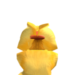 @ag_ketchup