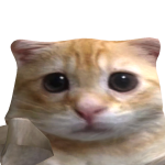 @maddydogs2323