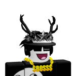 @SCHLEINNERELPRO