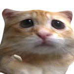 @Unicorngirlrulezlol