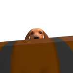 @Otterdog84321
