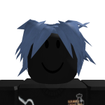 @havsv