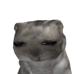 @leopateo2020