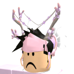 @Hamid1337