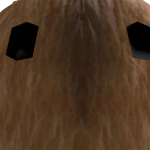 @ilovehamsters49