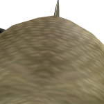 @Alexprorolblox1