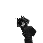 @moxilol