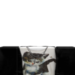 @thatssaxony