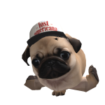 @Turkeybut_1017