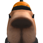 @VOLDEMORT0205