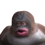 @Emmakearns