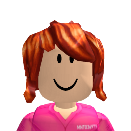 Roblox profile picture for @ferries02