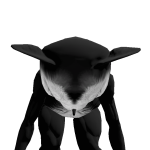 @Drg7777