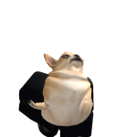@x_Smuxh
