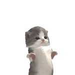 @mistycat50