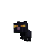 @oceanzop22222