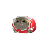 @edwardcat66