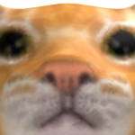 @iiqliverr