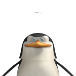 @shadowplayz6676