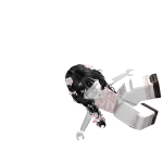 @cookiehead123555g