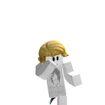 @raroozbr