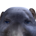 @viinttque