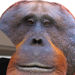 @200JoshCroft