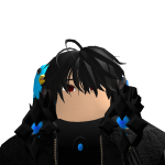 @4399roco