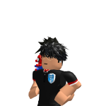 @13GS
