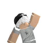 @roblox_user_1339201234