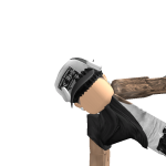 @RobloxLJ2