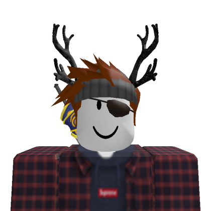 BlveBear
