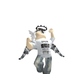 @bloxslayer1212
