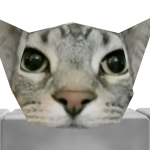 @BenWolf1045
