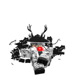 @C0c0br024