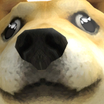@oofmaster28975