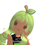 @flippazooflyers