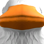 @Blueneon_YT12947