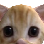 @dduby0812