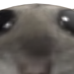 @hgmsowoxkw