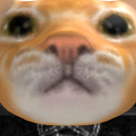 @CrazyFin999