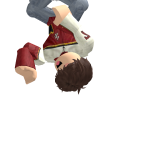 @BestRobloxPIayer2017